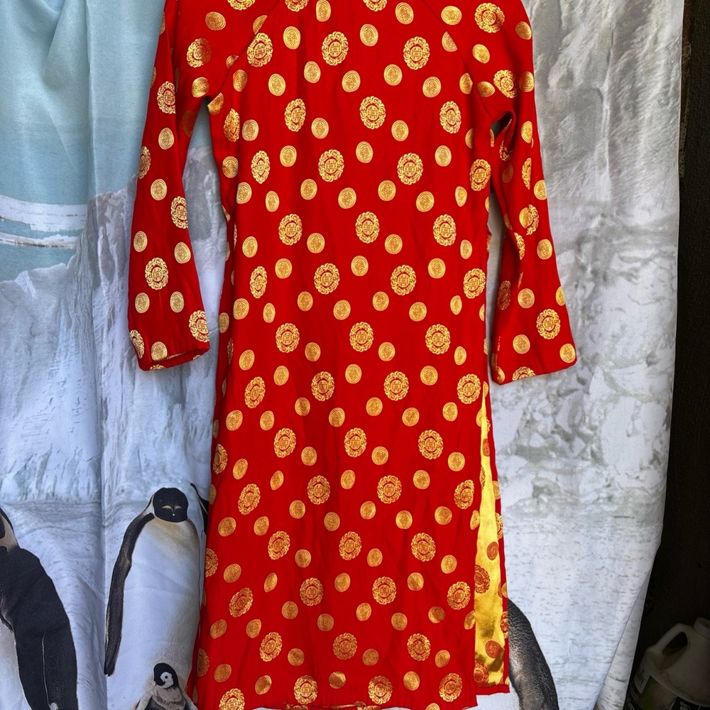 Elegant Red and Gold Asymmetrical Dress